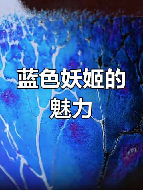 蓝色妖姬，神秘制作背后的秘密