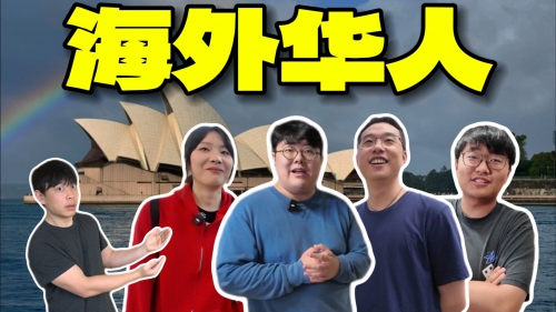 华人城防屏蔽图片华人城防屏蔽图片