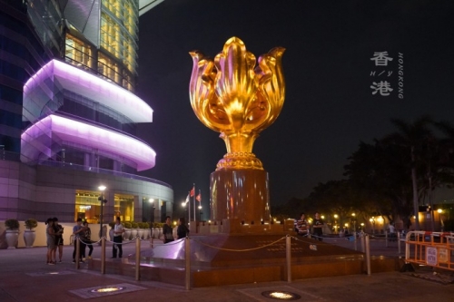 香港金多宝资料大全香港金多宝期期准，投资理财的新选择-第1张图片