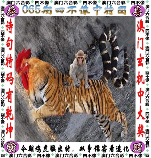管家婆四肖期期免费公开管家婆四肖期期精选免费资料-第2张图片