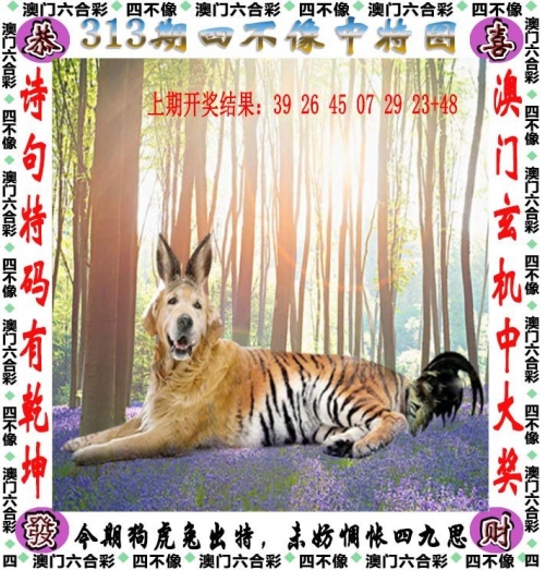 澳门必中一肖一码精准100%澳门必中一肖一码精准-第1张图片