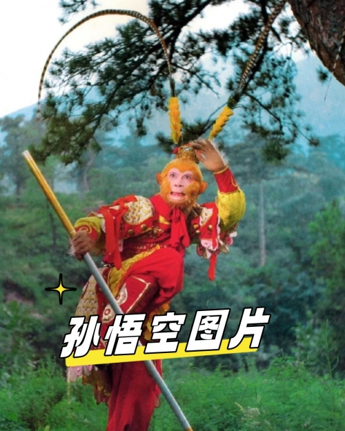澳门最精准龙门客栈，探寻真正的魅力与传奇