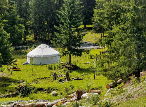 布尔津白哈巴村在哪布尔津白哈巴村，神秘而美丽的乡村