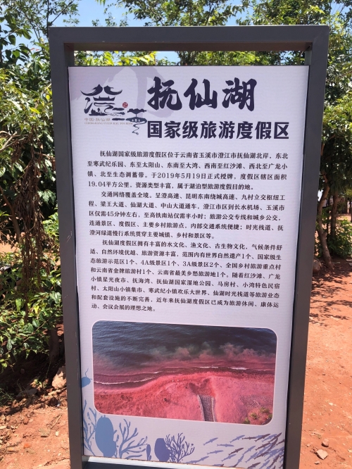 云南省玉溪市江川区云南省玉溪市旅游攻略-第2张图片