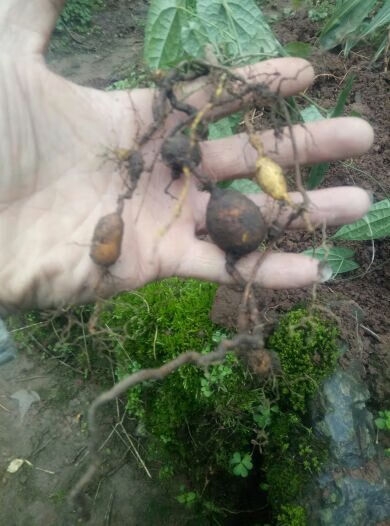 金牛网155755水心论坛精英高手金牛网155755水心论坛精英高手