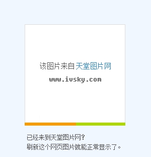 老虎宝典最新版下载老虎宝典，解锁自然之秘