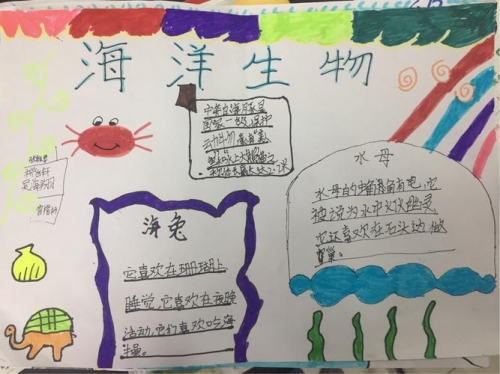 2022澳门正版资料全年免费公开，探索无限知识海洋