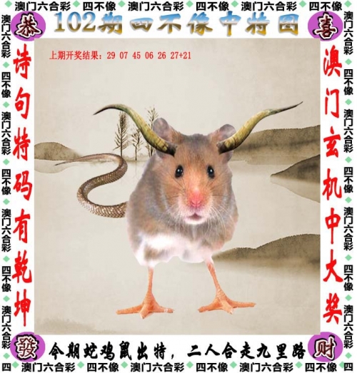 二肖二码100准二肖3码，彩票投注的智慧与策略-第1张图片