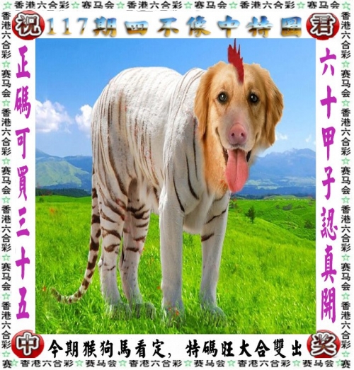 澳门今晚必中一肖一码2023开185期澳门今晚必中肖码2023开-第2张图片