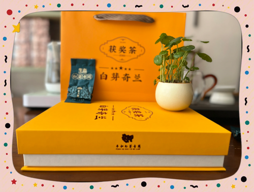 白芽奇兰白芽奇兰，兰花中的珍品-第1张图片