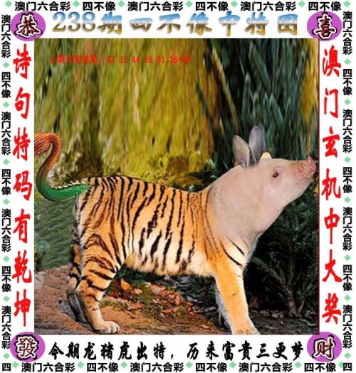 246天免费资料大放送，二四六好彩，免费领取你的学习资源-第2张图片