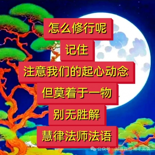 老衲法号乱来老衲法号，修行之路-第2张图片
