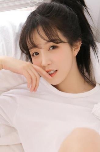 幸福宝官方网站小猪幸福宝官方网站，探索幸福之路