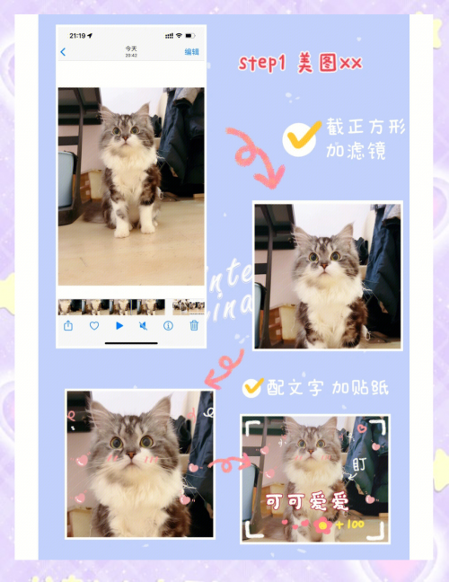 微信评论怎么发表情包图片微信评论发表情包攻略