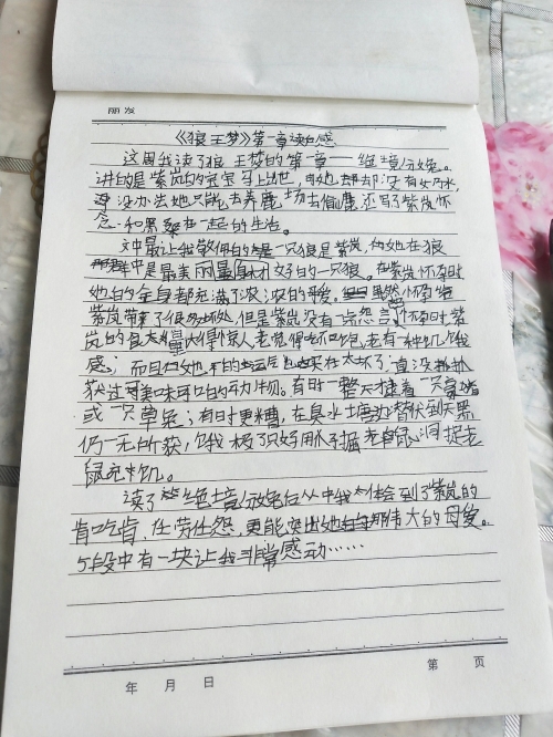 狼王梦全文阅读