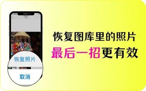 恢复49图库，探索tkcom的全新篇章-第2张图片