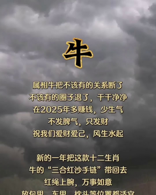 一起牛一起牛，共享牛业的美好未来