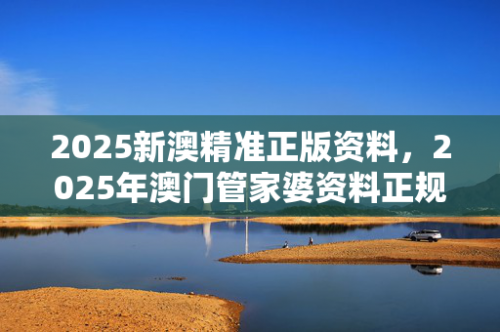 2023澳门精准正版澳门码2023澳门精准正版澳门码，探索澳门码的魅力与机遇-第1张图片