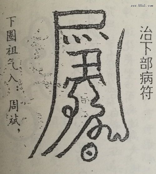 超级天医超级天医，探寻生命奥秘的神秘力量-第3张图片