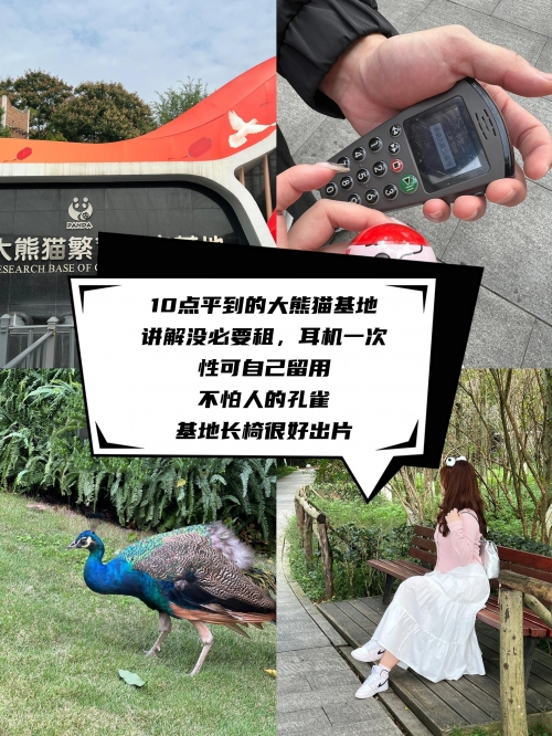成都关闭所有户外广告照明成都关闭所有户外广告照明，城市新篇章-第2张图片