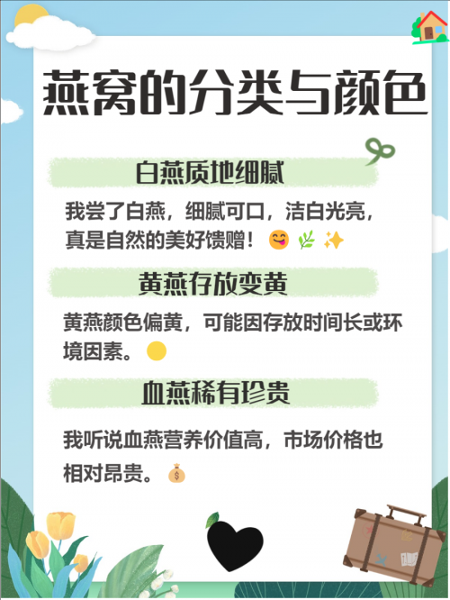 金丝燕窝和白燕窝的区别金丝燕窝，天然珍品的美妙之旅-第1张图片