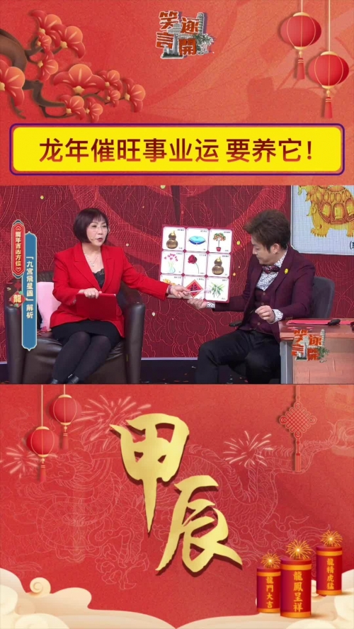 麦玲玲2024年龙年运程-第1张图片