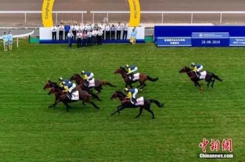 2019香港马会全年资枓大全2019香港马会全年资枓大全