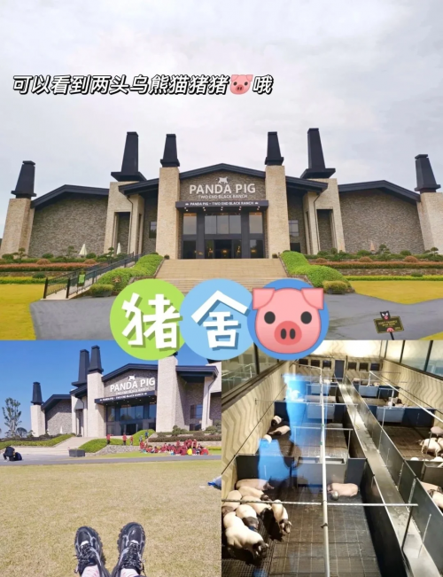 金华动物园游记-第1张图片