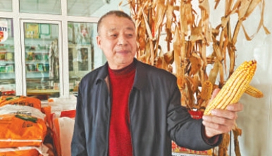 江苏村官江苏村官，青春之歌