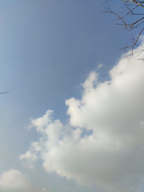 天空彩票与你同行报码资料啊天空彩票与你同行，手机报码开奖揭晓-第2张图片