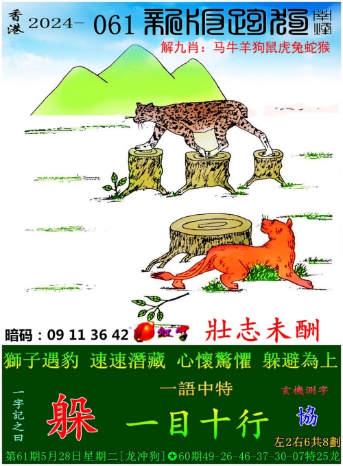2024香港今晚开特马2024香港今晚开特马，璀璨盛典即将启幕-第1张图片