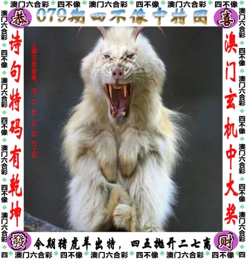 澳门一码一肖一特一中，2024年展望-第2张图片