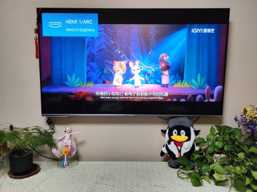 爱奇艺电视果，智能电视的全新体验