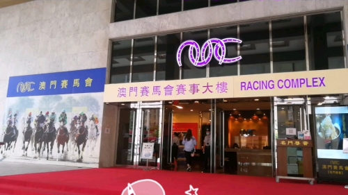 百度搜索澳门2020今晚开什么2020澳门今晚特马揭晓，揭秘神秘活动与精彩纷呈的盛宴