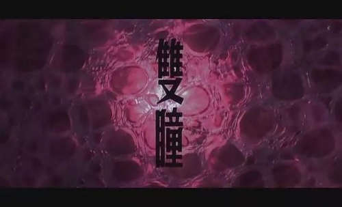 一码一肖，精准预测的神秘力量-第3张图片
