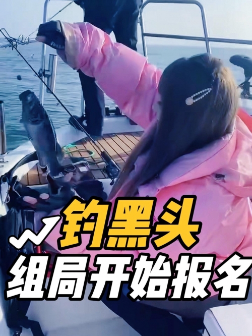 四海钓鱼在线直播，探索钓鱼乐趣与互动