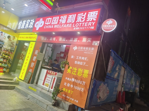 福利彩票论坛，探讨福利彩票的最新动态与福利-第2张图片