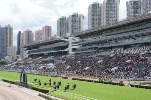 香港赛马会资料香港赛马会资料