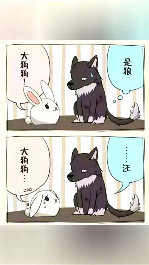 小狼狗高手论坛小狼狗高手论坛，探讨狼犬成长与训练的奥秘-第2张图片