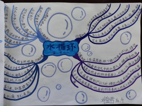 互动作业互动作业，构建高效学习环境的利器
