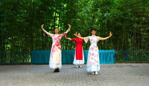 最新广场舞2013最新广场舞2013，活力四溢的舞蹈盛宴-第3张图片