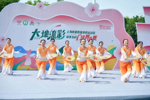 最新广场舞2013最新广场舞2013，活力四溢的舞蹈盛宴-第1张图片