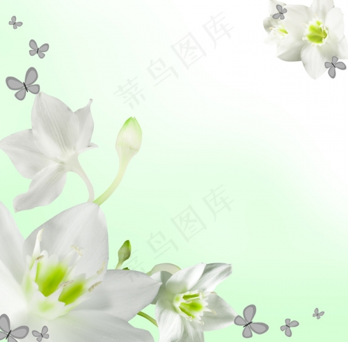 百合图库历史开奖百合图库，艺术与美的交汇之地
