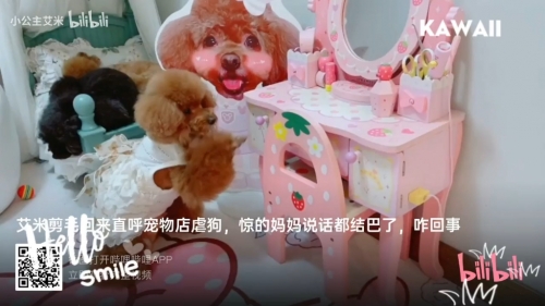 大本营的秘密花园大本营的秘密花园