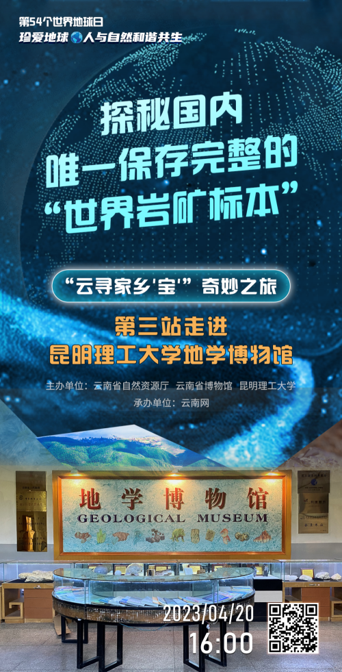 港澳台49图库免费资料文章-第3张图片