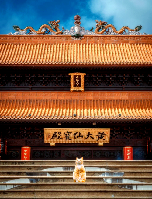 黄大仙高手论坛搜索一下黄大仙高手论坛，探索技术与交流的圣地-第2张图片