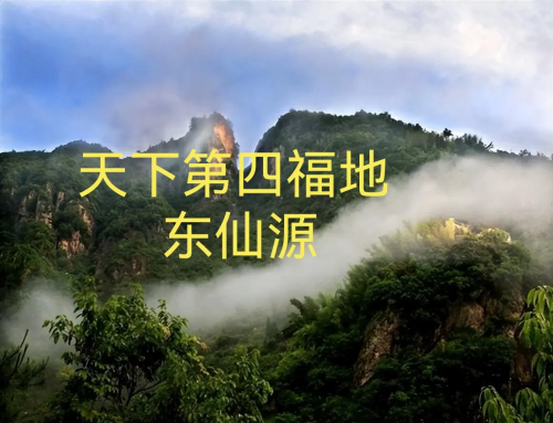 黄大仙高手论坛搜索一下黄大仙高手论坛，探索技术与交流的圣地-第1张图片