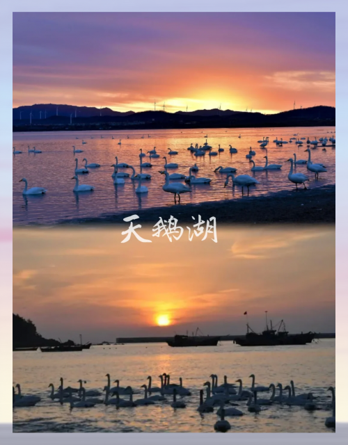 聊城天沐温泉还在营业吗聊城天沐温泉之旅-第3张图片