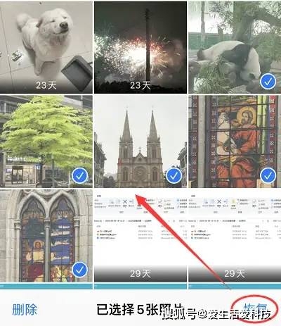 图库恢复6100561005.com，探索数字时代的无限可能-第1张图片
