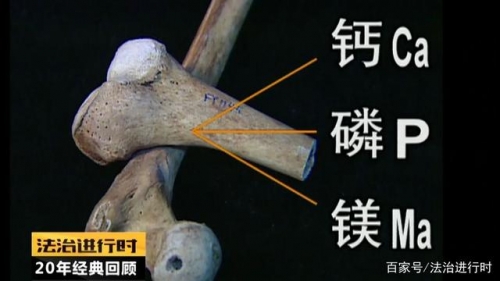 新东泰事件中挖出的人骨数量新东泰事件概述-第1张图片